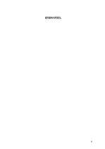 Kutatási anyagok 'Other Side of the Successful Leadership', 8.                