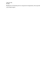 Esszék 'Internal Causes of the Syrian Civil War', 4.                