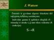 Prezentációk 'Asmenybės teorijos ', 13.                