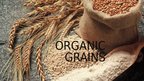 Prezentációk 'Organic Grains', 1.                