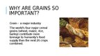Prezentációk 'Organic Grains', 3.                