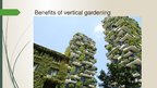 Prezentációk 'Vertical Gardens', 4.                