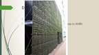 Prezentációk 'Vertical Gardens', 7.                