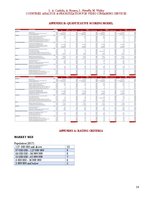 Kutatási anyagok 'Countries Analysis & Prioritization for Video Streaming Services', 15.                