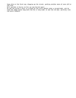 Esszék 'The Snow in the City', 2.                