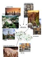 Kutatási anyagok 'Czech Republic', 5.                