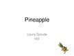 Prezentációk 'Pineapple', 1.                