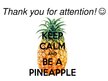 Prezentációk 'Pineapple', 24.                