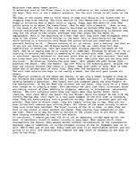 Esszék 'Lord Of The Flies', 1.                