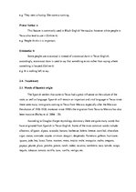 Kutatási anyagok 'Texan English', 12.                