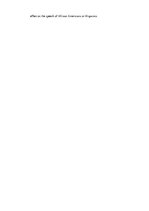 Kutatási anyagok 'Texan English', 14.                