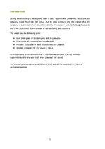 Gyakorlati jelentések 'Internship Report', 2.                