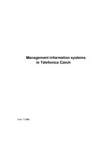 Kutatási anyagok 'Management Information Systems in "Telefonica Czech"', 1.                