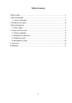 Kutatási anyagok 'Bird Strike Prevention', 2.                