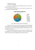 Kutatási anyagok 'Bird Strike Prevention', 3.                