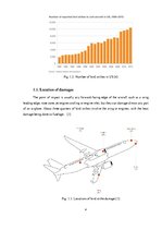 Kutatási anyagok 'Bird Strike Prevention', 4.                