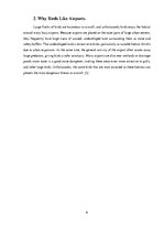 Kutatási anyagok 'Bird Strike Prevention', 6.                