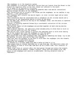 Összefoglalók, jegyzetek 'Points on the Esophagus in the Digestive System', 1.                