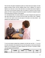 Kutatási anyagok 'Asymmetry in Medical Interview', 17.                