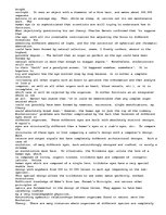 Esszék 'The evolution theory', 5.