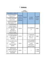 Kutatási anyagok 'Református óvoda felújítása Nagyhalász Városában', 22.                