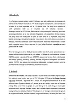 Kutatási anyagok 'Country and Sector Research Ireland', 2.                