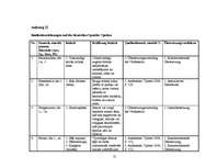 Kutatási anyagok 'Realienbezeichnungen', 12.                