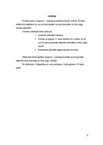 Kutatási anyagok 'Differences Between American and British English', 27.                