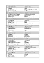 Összefoglalók, jegyzetek 'Termini', 3.                