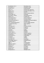 Összefoglalók, jegyzetek 'Termini', 4.                