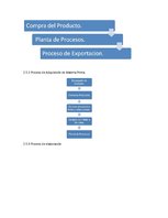 Kutatási anyagok 'Exportación de ciruelas deshidratadas al mercado alemán', 21.                