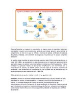 Kutatási anyagok 'Exportación de ciruelas deshidratadas al mercado alemán', 24.                