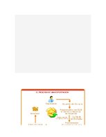 Kutatási anyagok 'Exportación de ciruelas deshidratadas al mercado alemán', 26.                