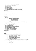 Összefoglalók, jegyzetek 'A második ipari forradalom', 2.                