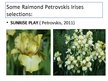 Prezentációk 'Irises Selection in Latvia', 7.                