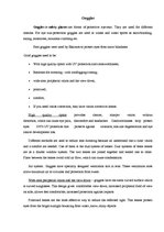 Összefoglalók, jegyzetek 'Goggles', 1.                