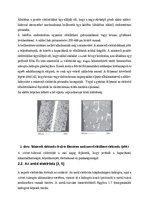 Esszék 'Nikkel-metál-hidrid akkumulátor', 4.                