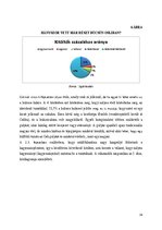 Kutatási anyagok 'Osli turizmusának fejlesztése', 38.                