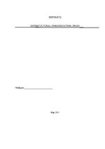 Kutatási anyagok 'Intercultural Communication - Spain', 1.                