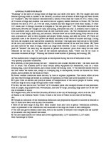 Minták 'English 2010 Exam Answers', 1.                