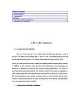 Kutatási anyagok 'Marketing Research Report', 2.                