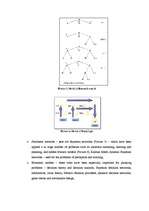 Kutatási anyagok 'Artifical Intelligence', 12.                