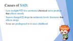 Prezentációk 'Seasonal Affective Disorder or Depression', 8.                