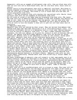 Esszék 'Stem Cell Research: Similarities and Differences Between Adult and Embryonic Ste', 2.                