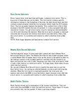 Kutatási anyagok 'Computer Viruses', 4.                