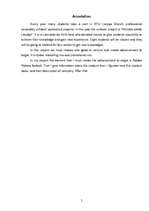 Kutatási anyagok 'Marketing Mix, Promotion of Adidas Roteiro Ball', 3.                