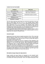 Kutatási anyagok 'Software Development Project', 4.                