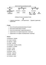 Kutatási anyagok 'Wirtschaftszusammenschlüsse', 8.                
