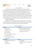 Kutatási anyagok 'Strategic Analysis of the "Norsafe AS"', 10.                