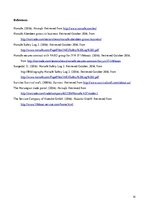 Kutatási anyagok 'Strategic Analysis of the "Norsafe AS"', 14.                